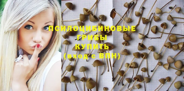 спиды Алексеевка