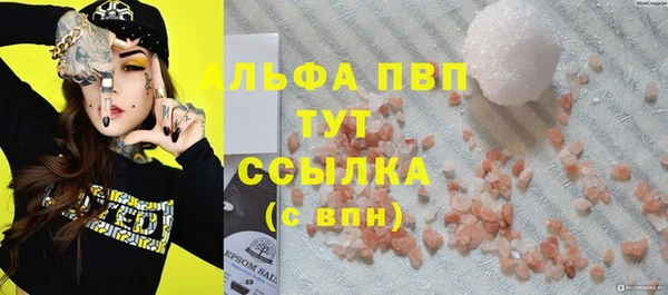 молекула духа Алексин