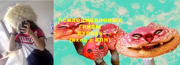 спиды Алексеевка