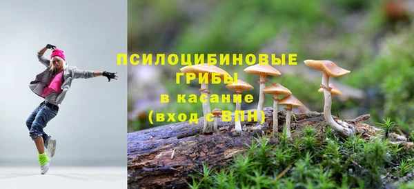 молекула духа Алзамай