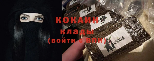 молекула духа Алзамай