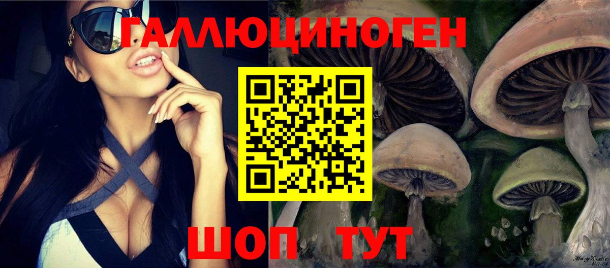Галлюциногенные грибы MAGIC MUSHROOMS  Галлюциногенные грибы ЛСД  Новокубанск  Вход с VPN 