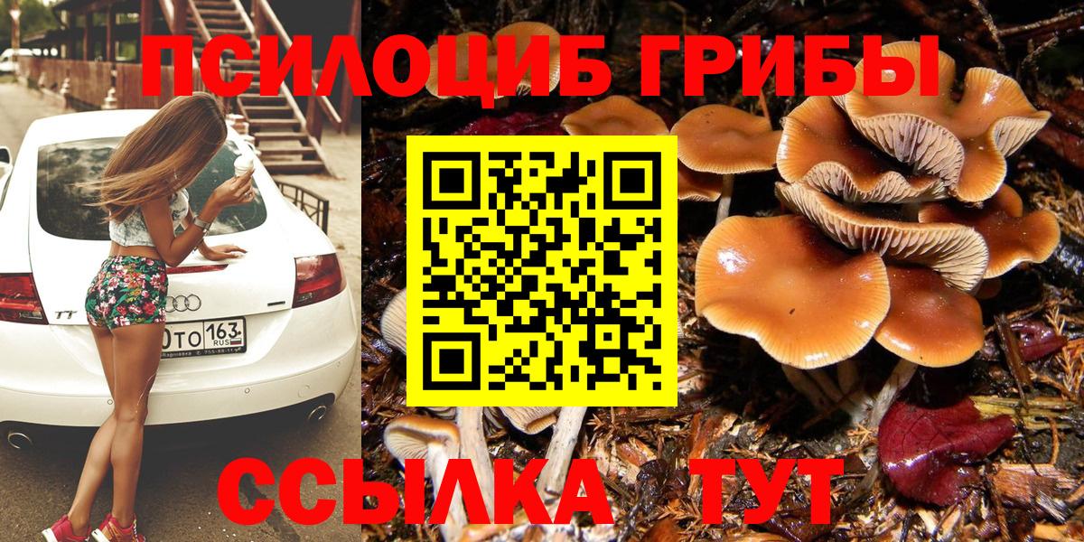 Псилоцибиновые грибы прущие грибы Новокубанск