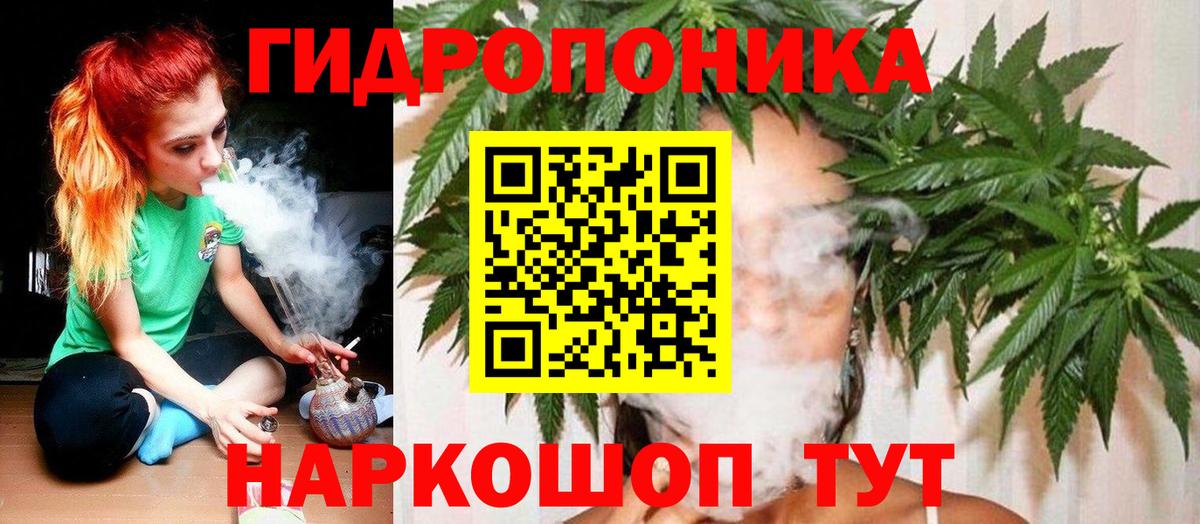 Каннабис семена Новокубанск